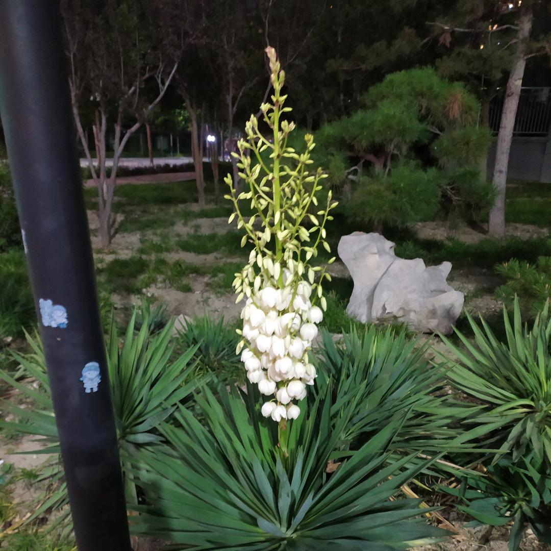 我是我