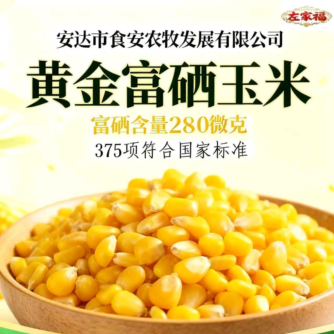 左嘉
