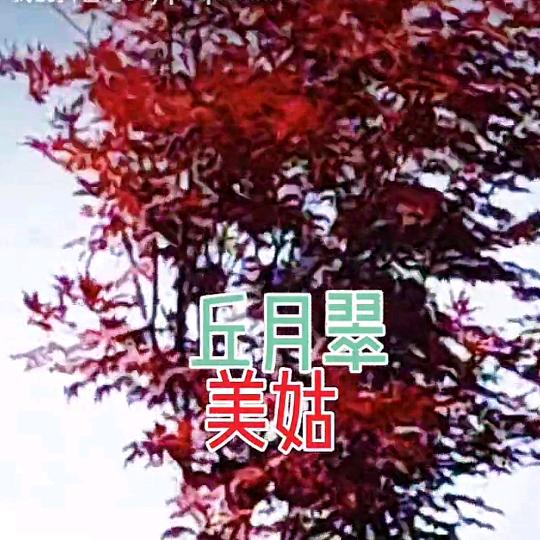 壹去不回头