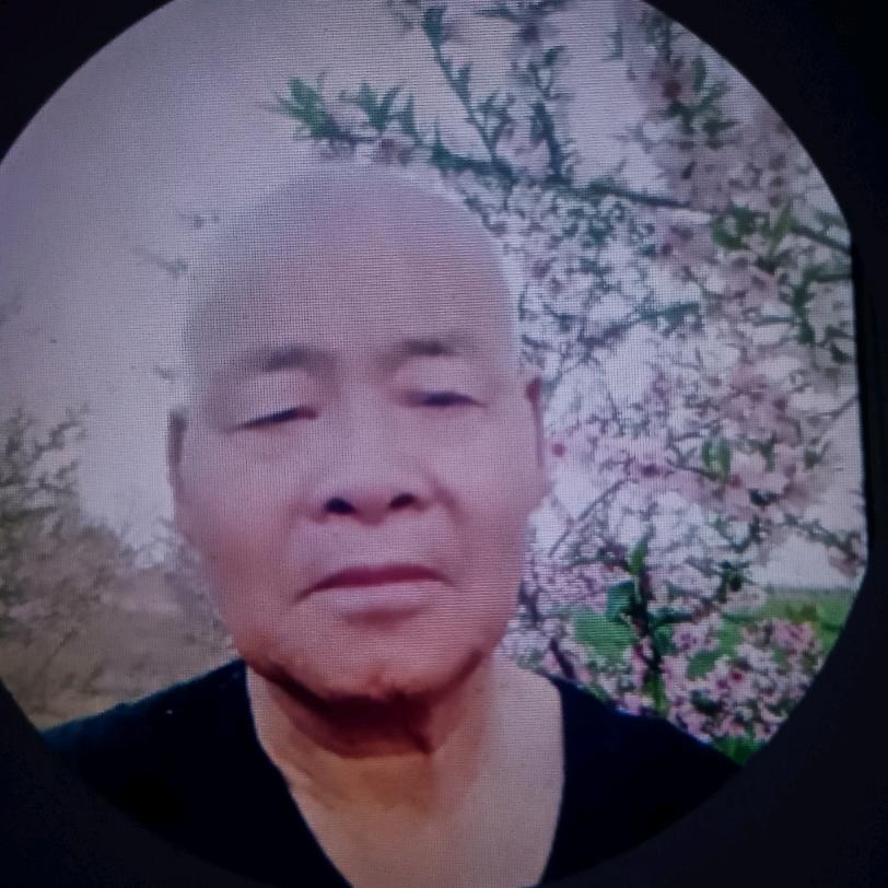 秦声老马