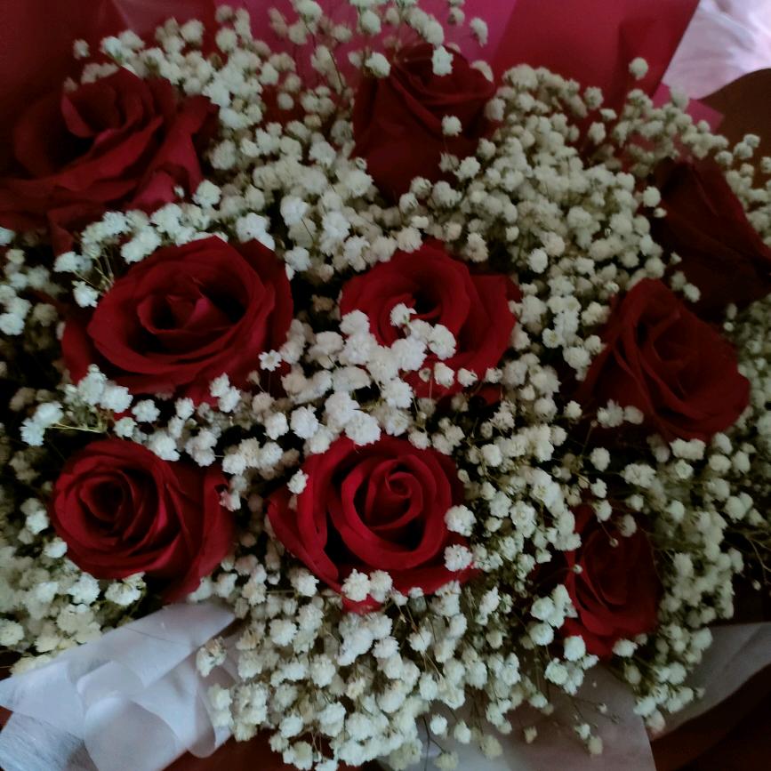 小陆（鹿）乱撞