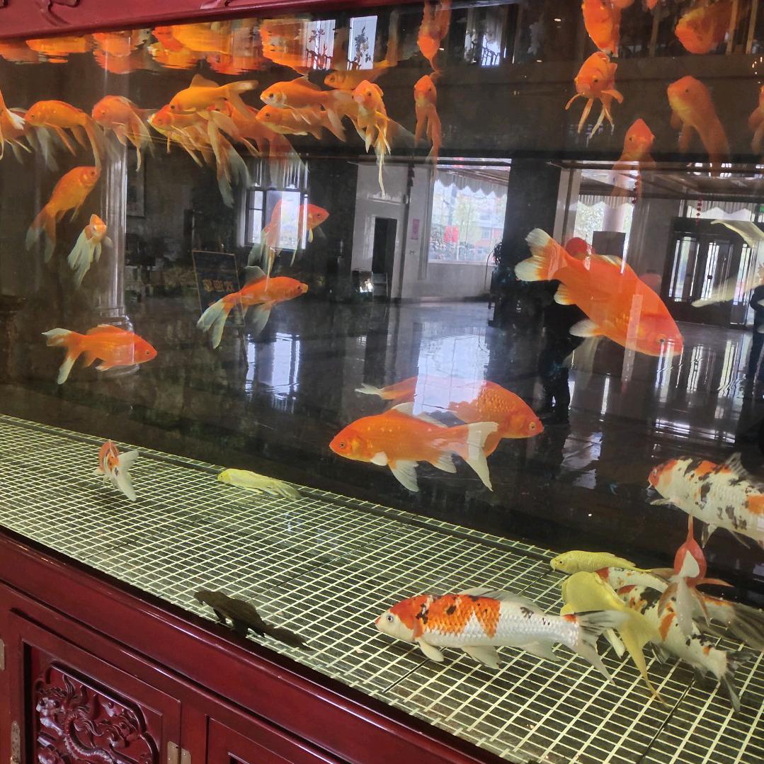 快乐