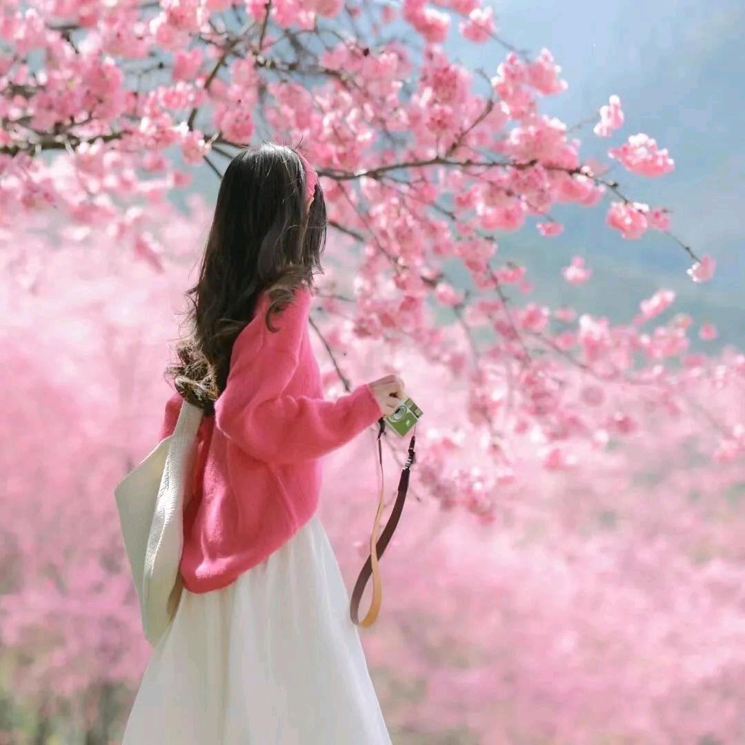 珍珍❤️《爱山歌》:
