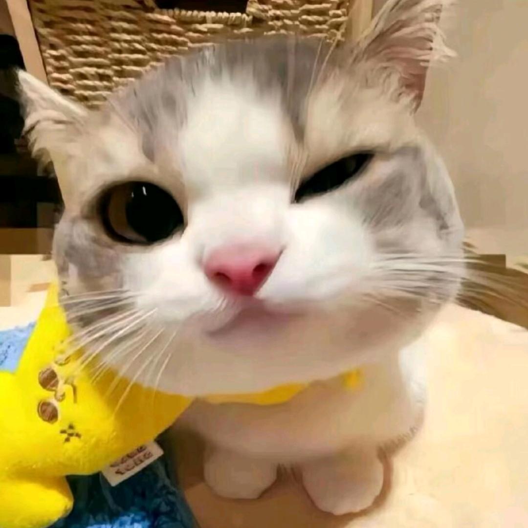 烤冷面