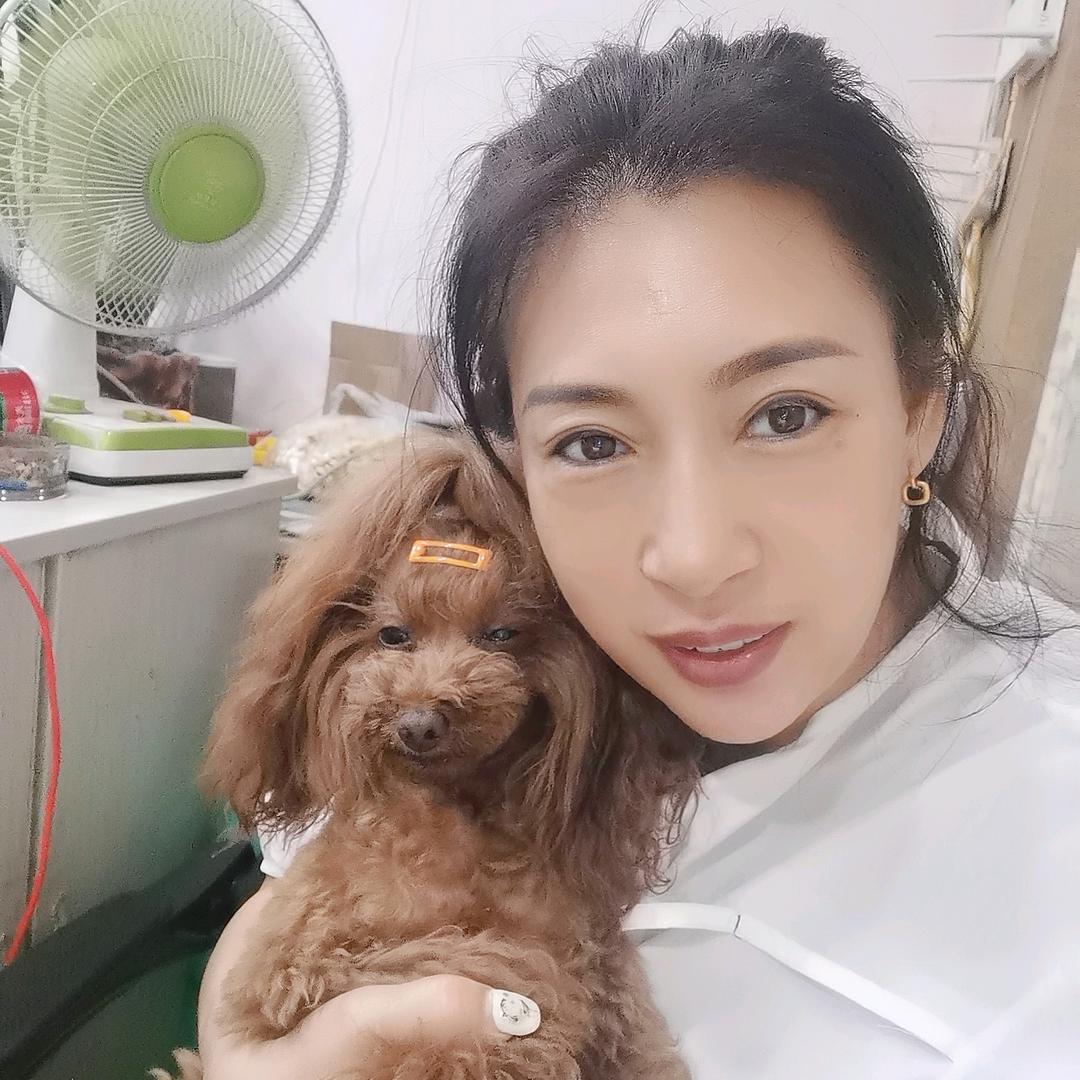 爱是宠物在新乡