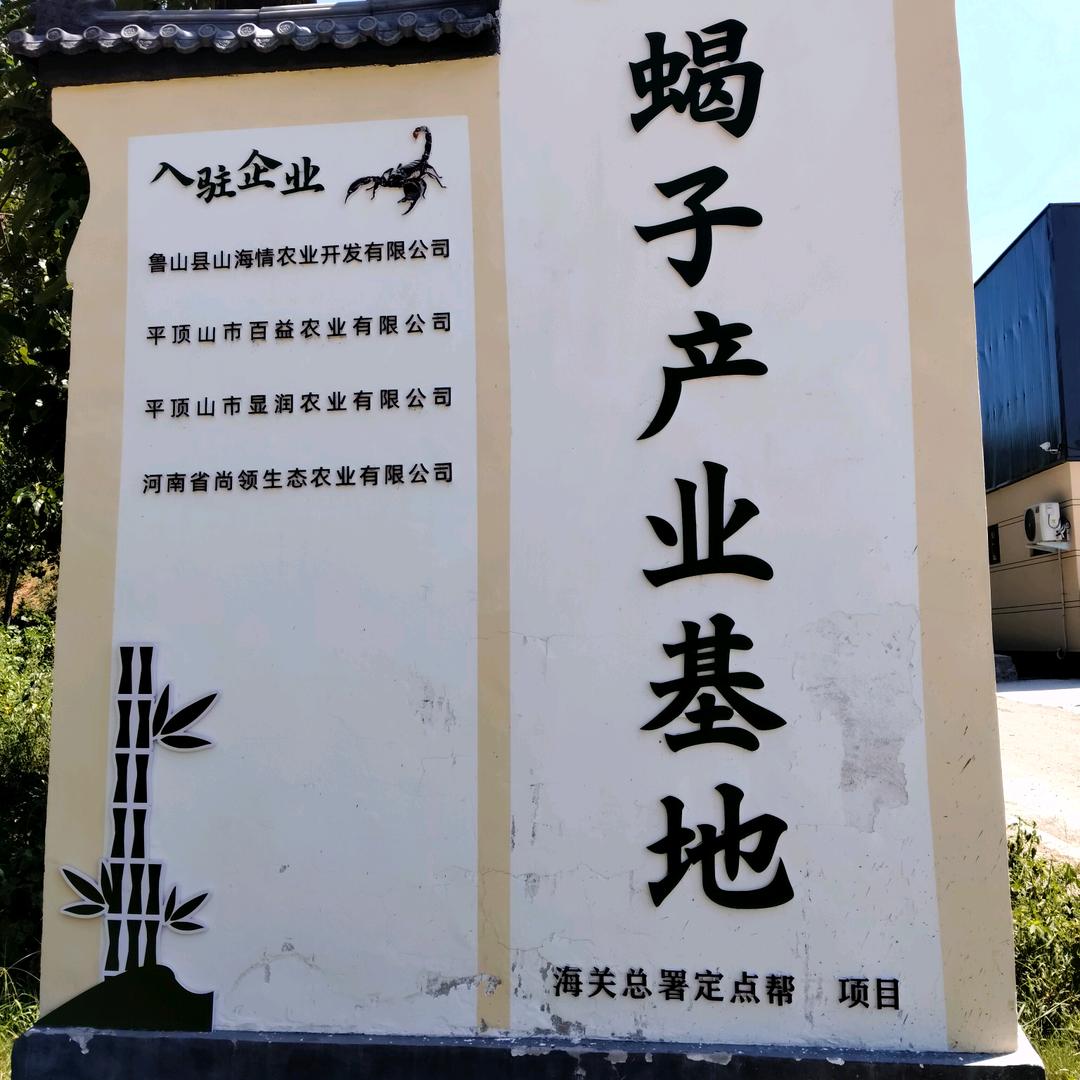 鲁山县黄粉虫养殖基地