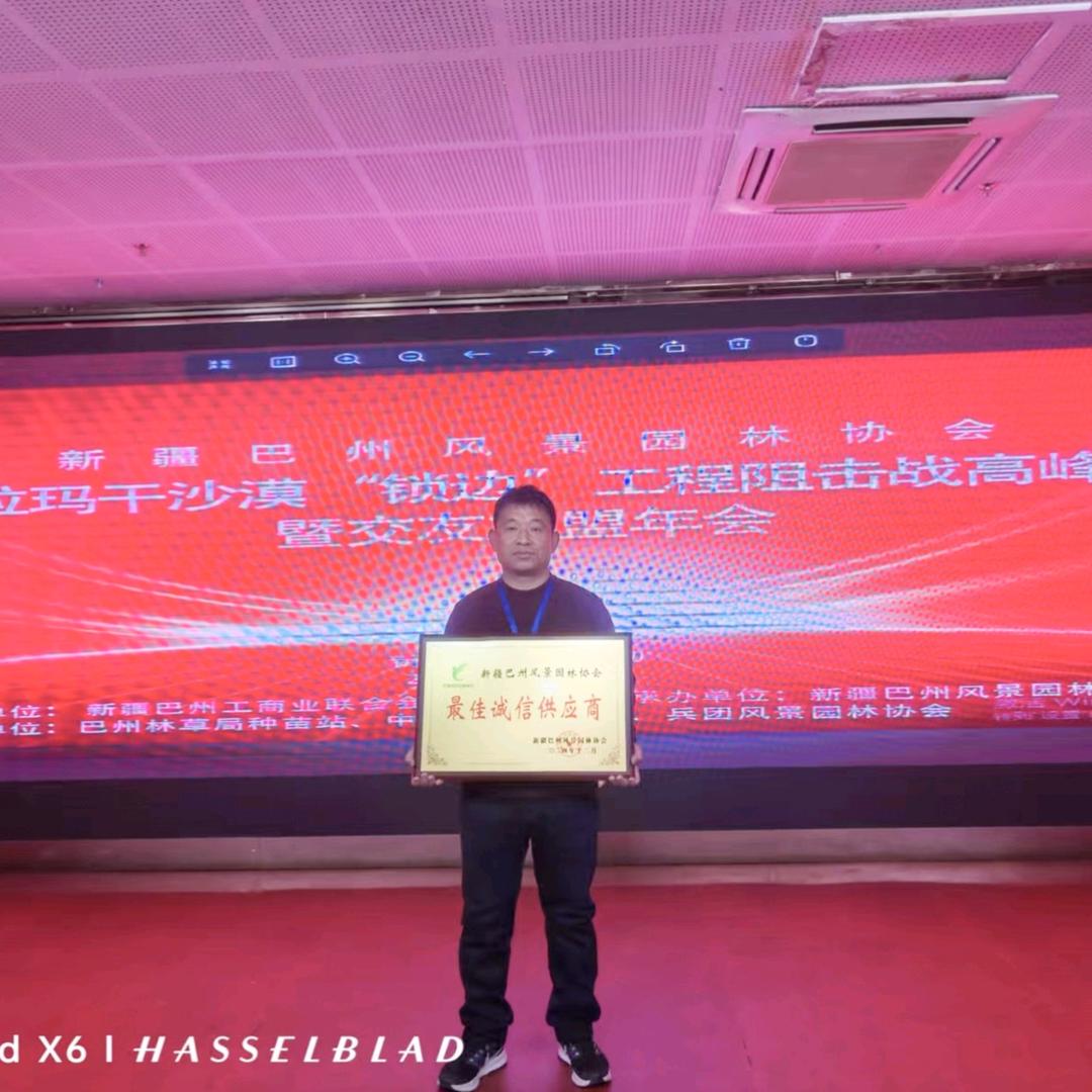 山东满堂红苗木