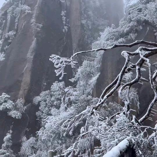 晴琪