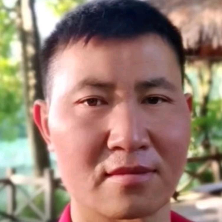 悟乐