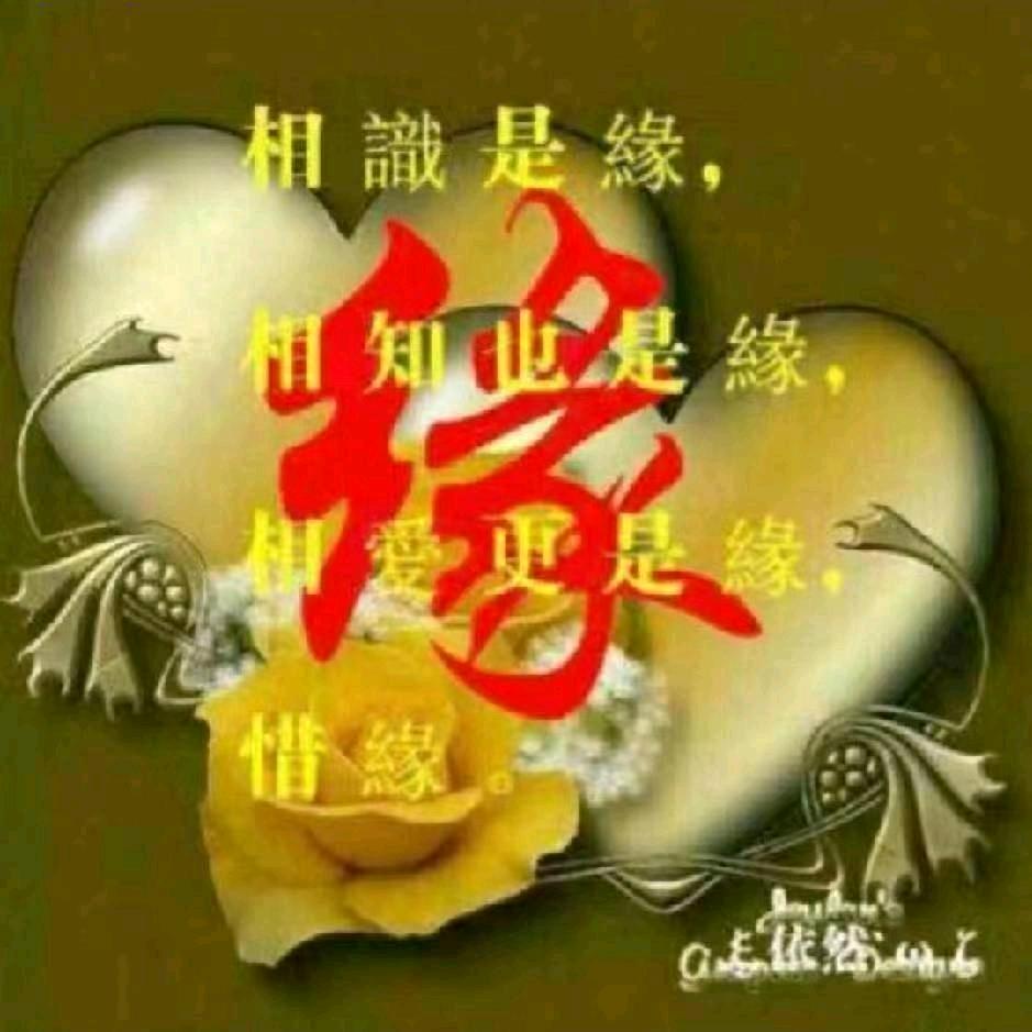 🐰静🐲心🪷🙏🏻