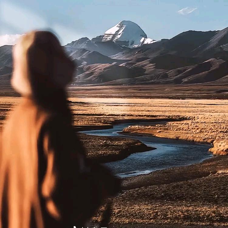 八方来财🌝᭄