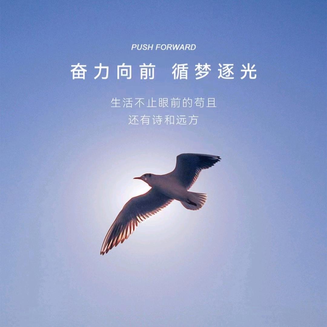 车缘汽车音响