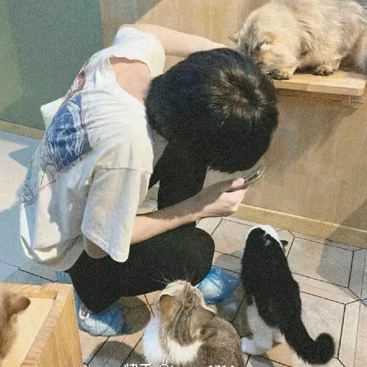 豪老尸