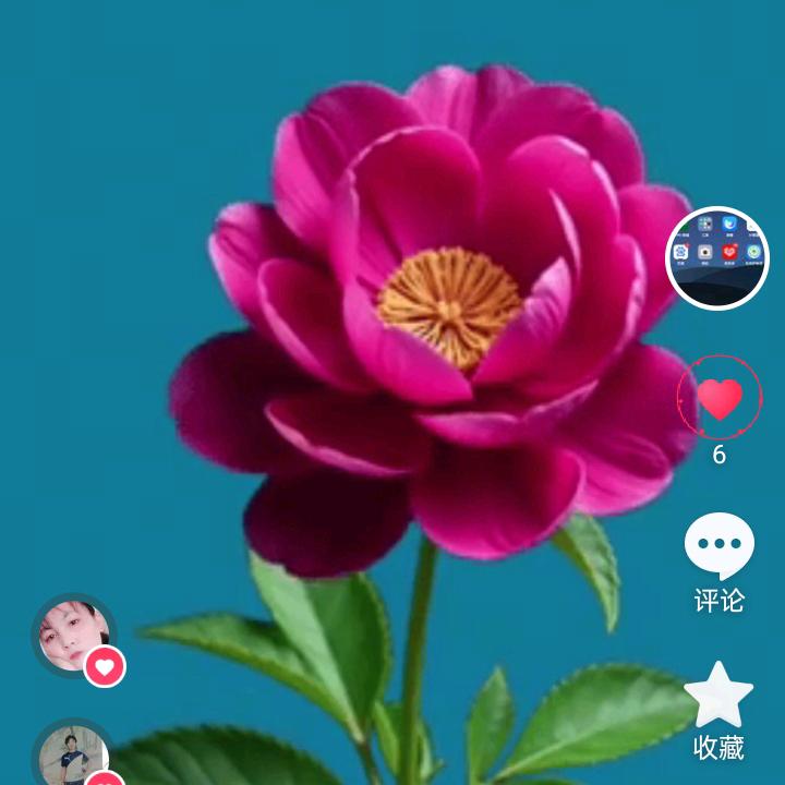 我不拽