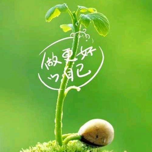 晨曦☀️