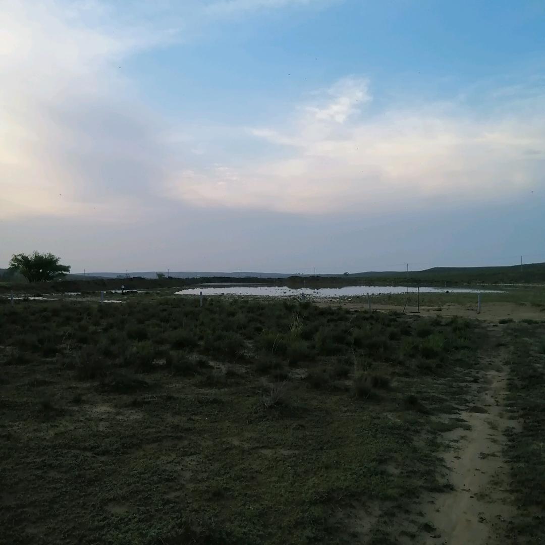 一只健康的小鸟