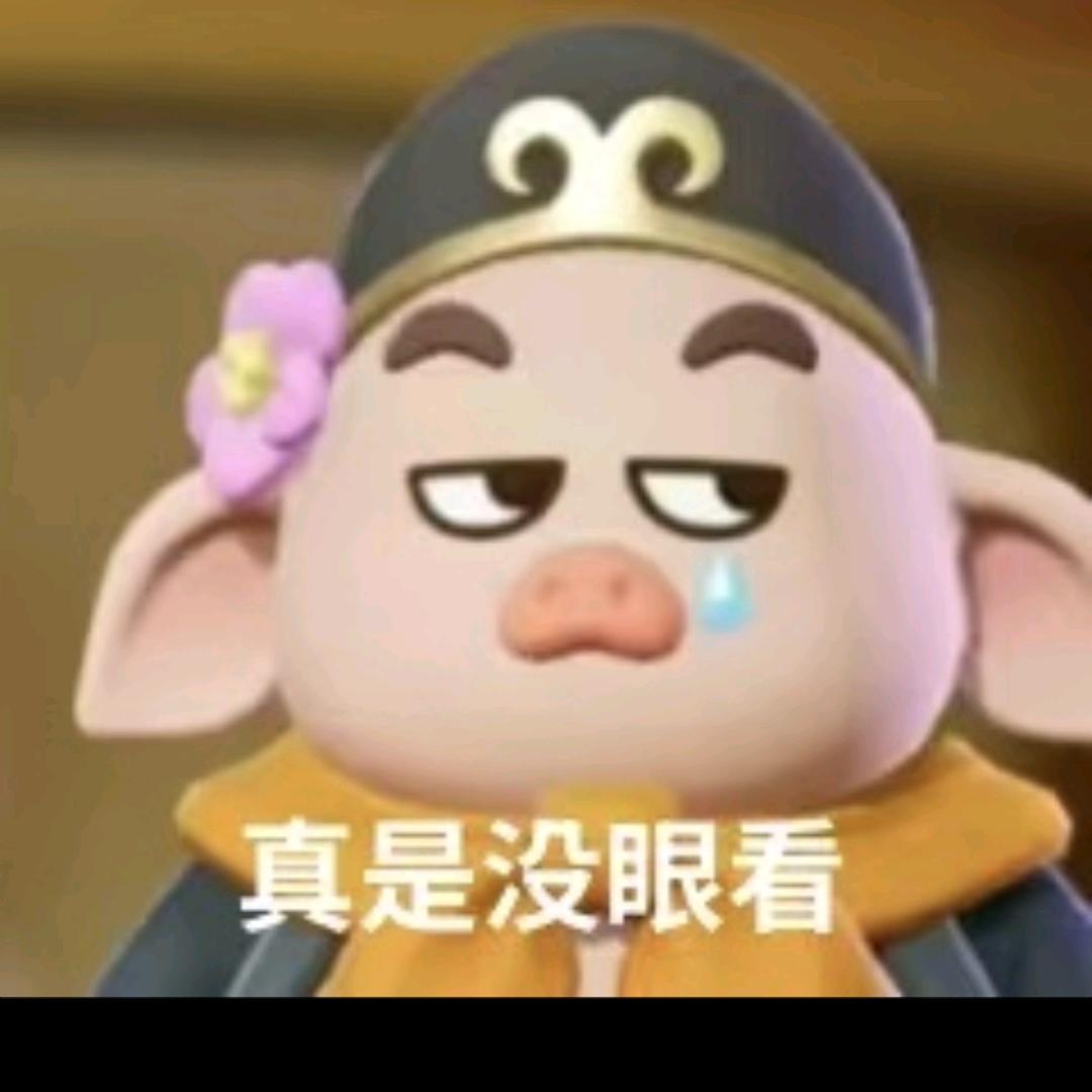 阿晋哥
