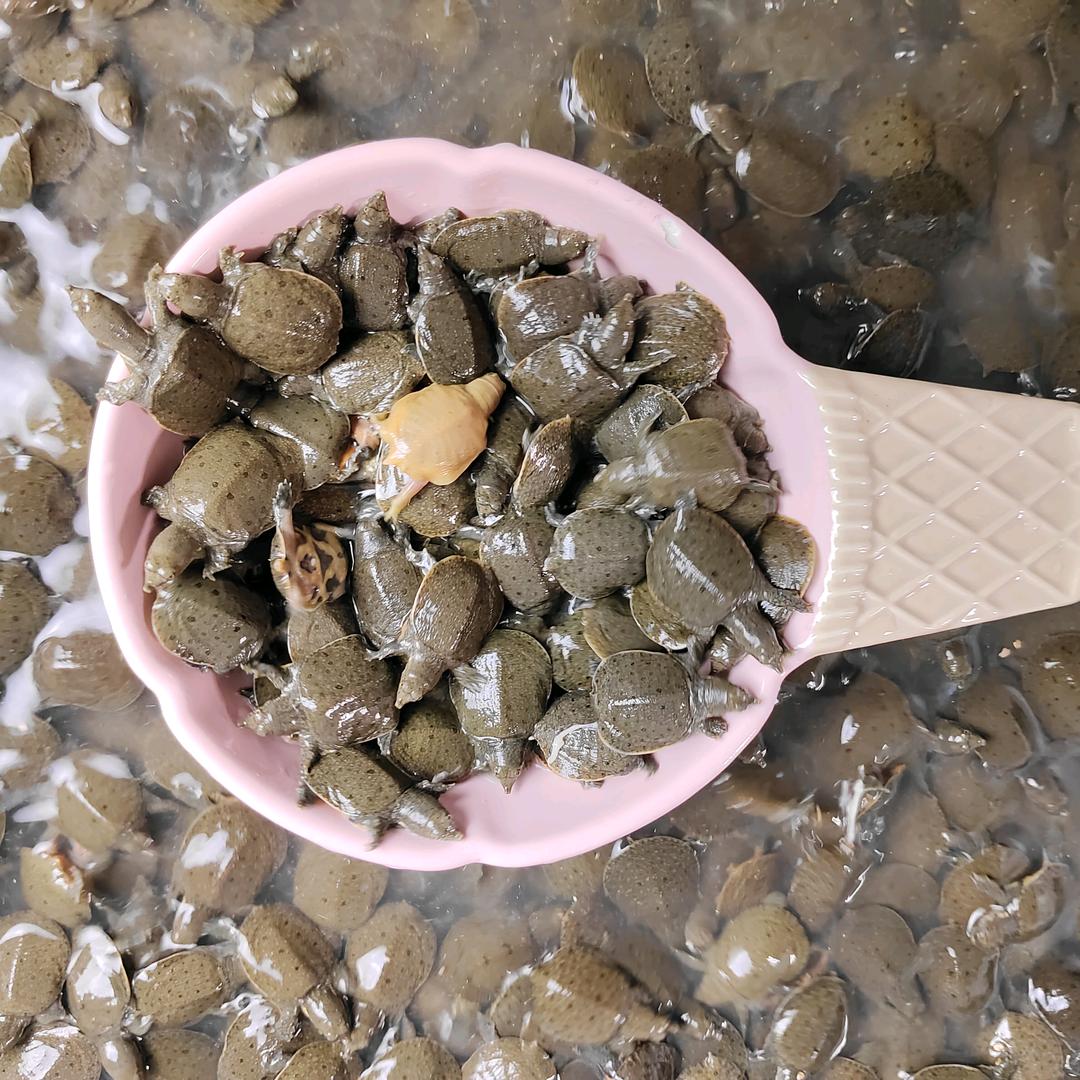 小潘水产