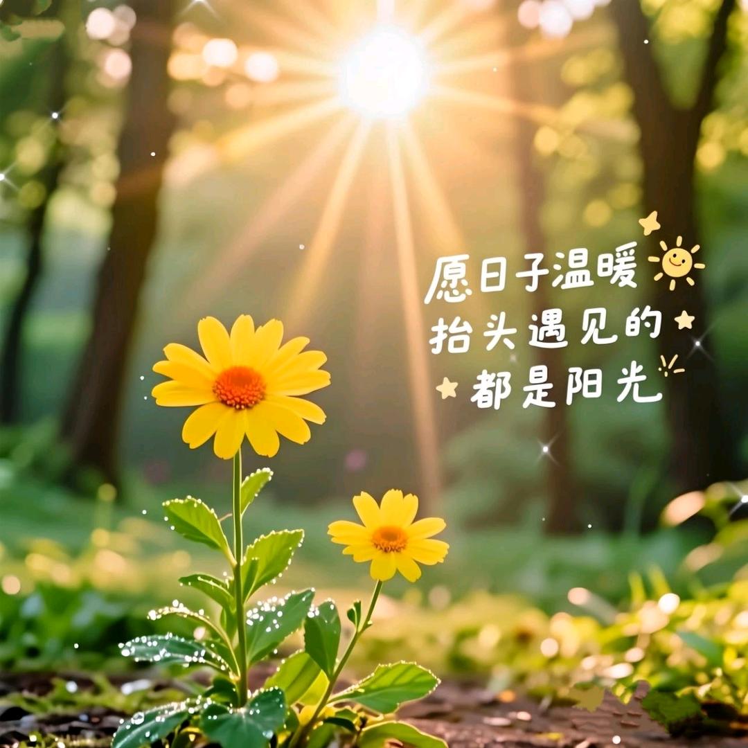 🍇紫定好运🌈手工