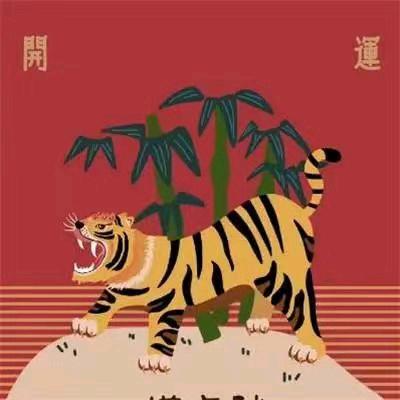 别爱我,没钱