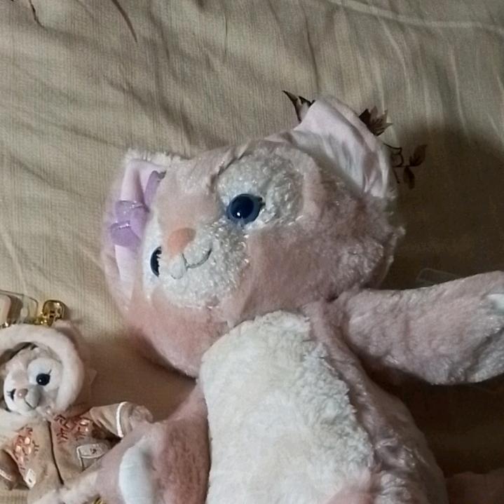 yaguang
