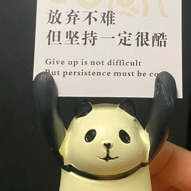🌹胡胡（关必回）