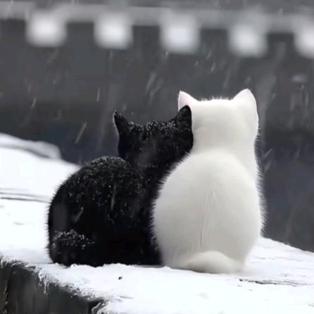 প༉ᩚ᭄無為ഒᩚꦼꦂ࿐