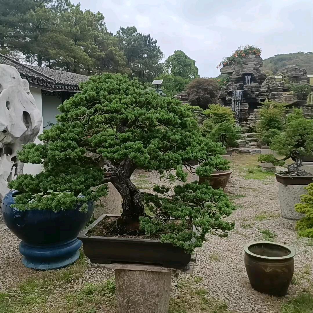 锁芯互爱
