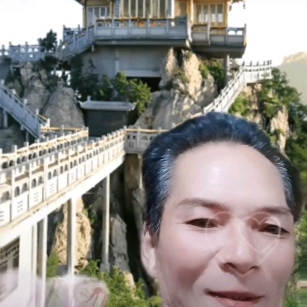 财来运到