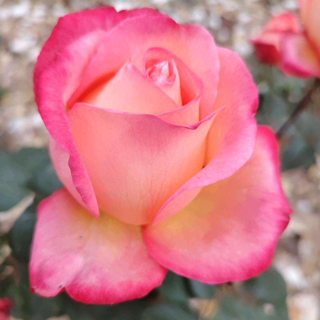 松花江畔
