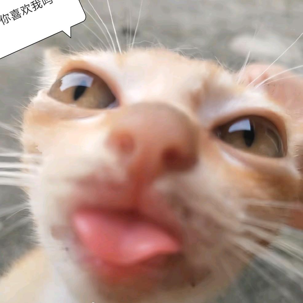 某函