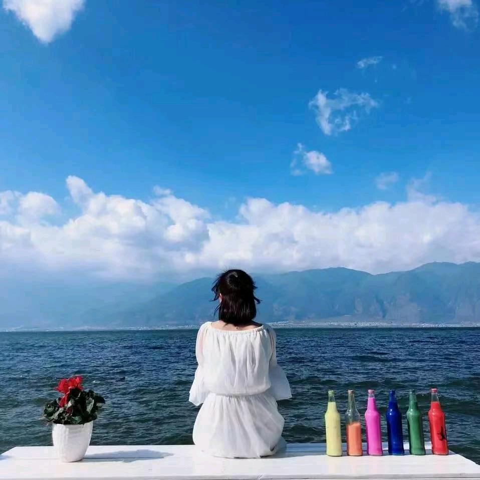 拾荒者🤲