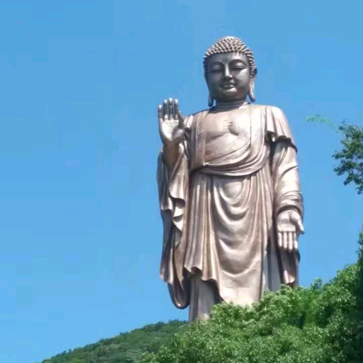 君子兰…拒秒赞拒连赞