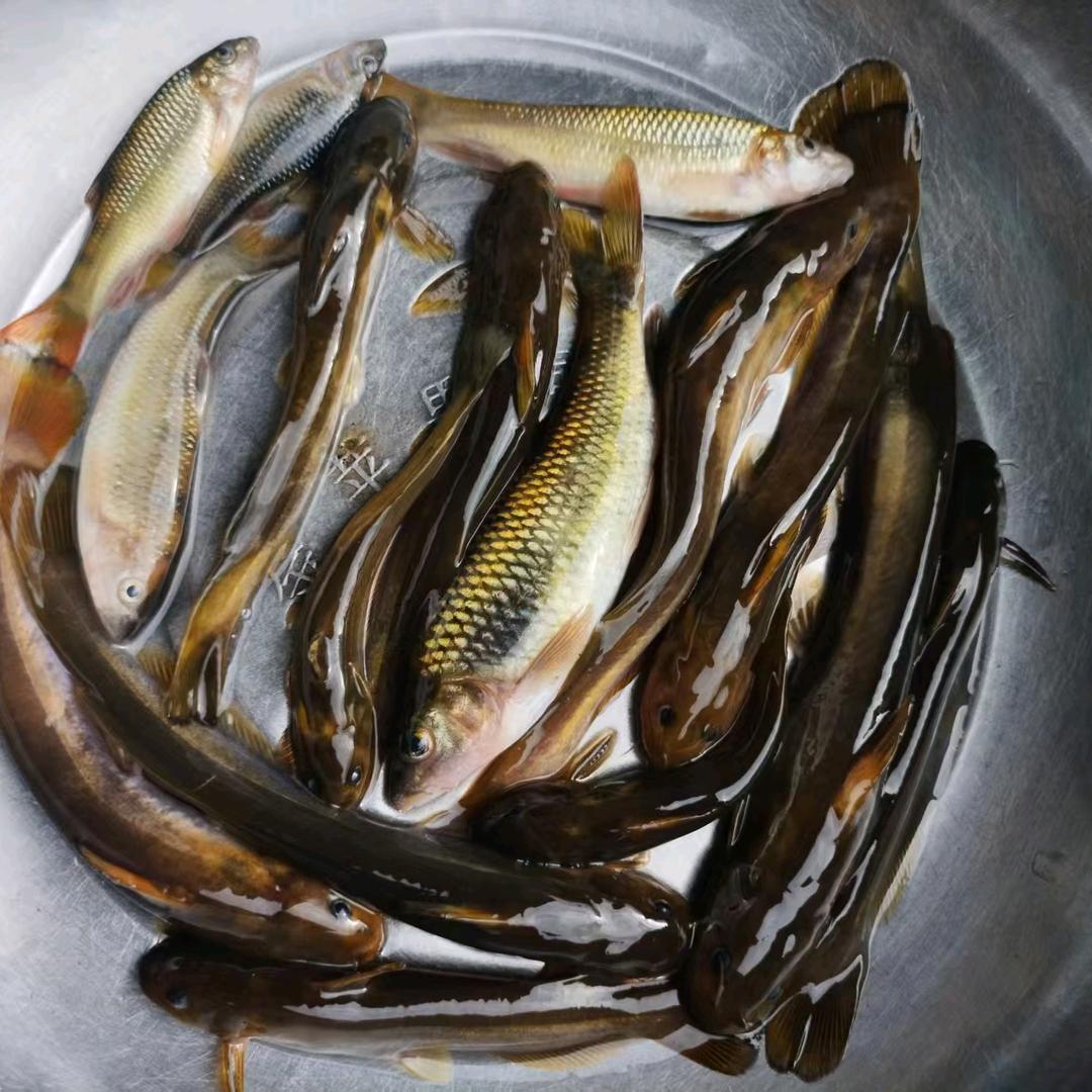 浪子飞飞