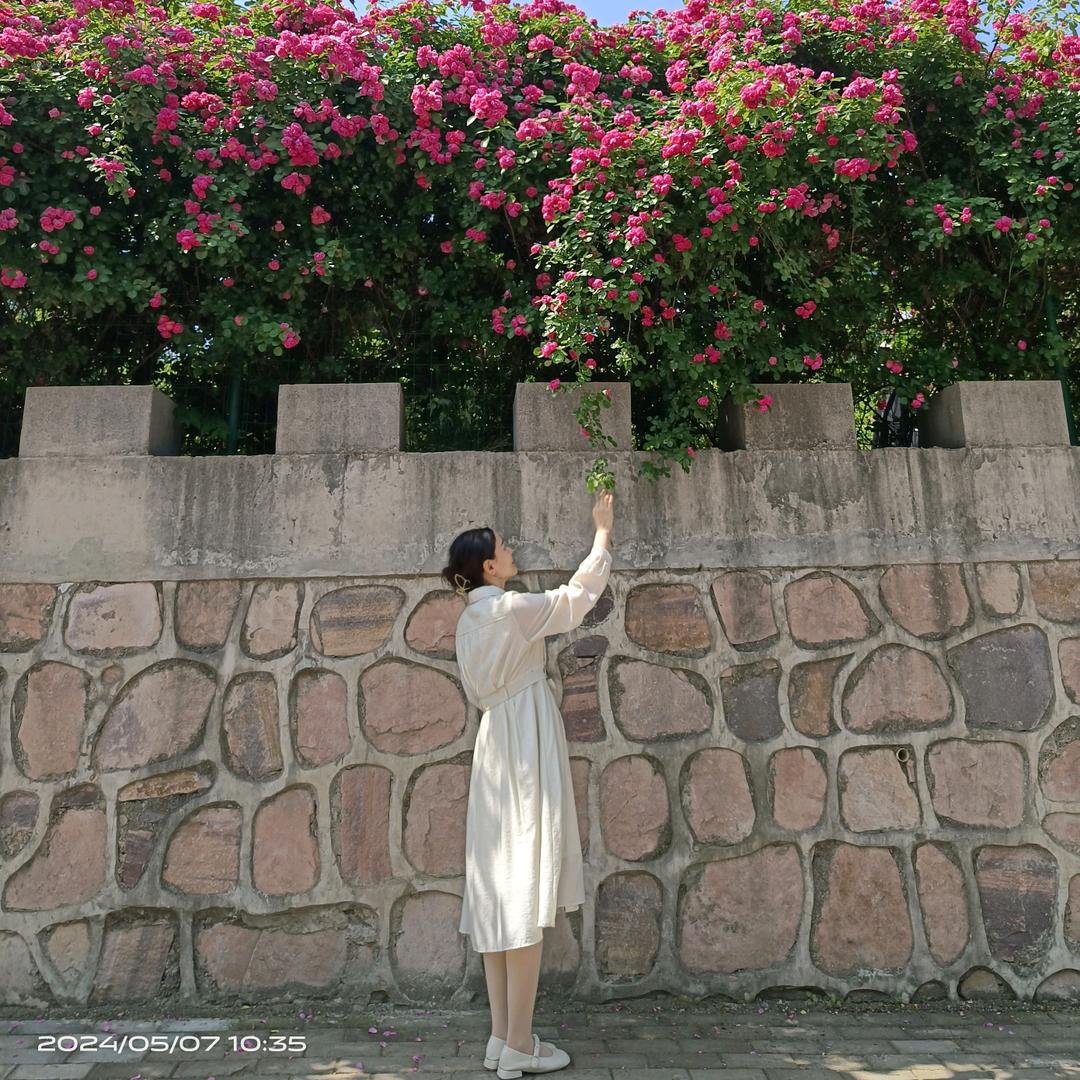 快快乐乐每一天🌹🌹🌹