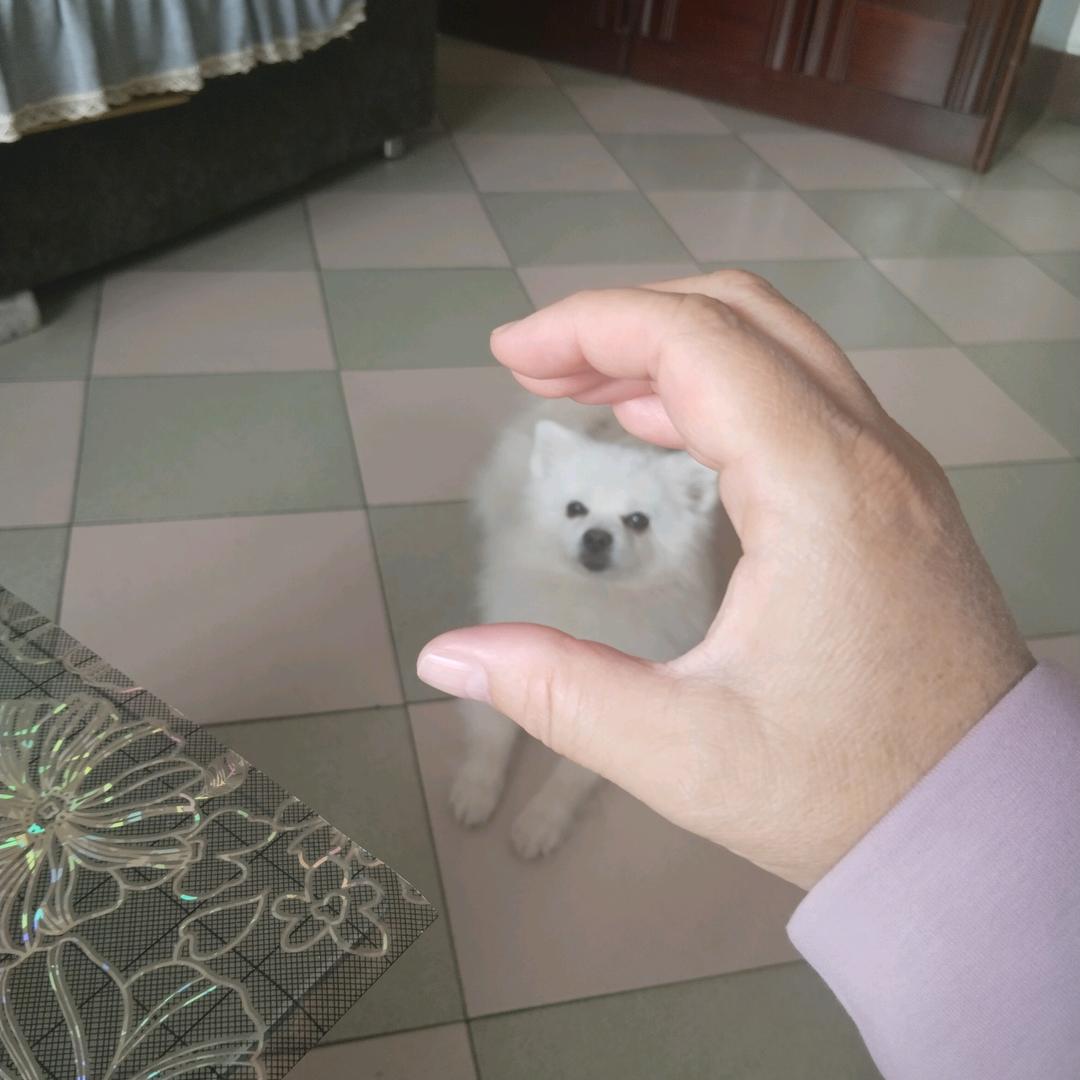 开门红9591292
