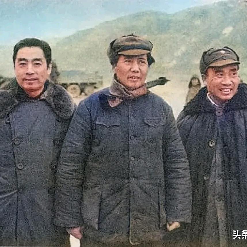 老虎乱溜达