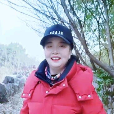 歌在飞