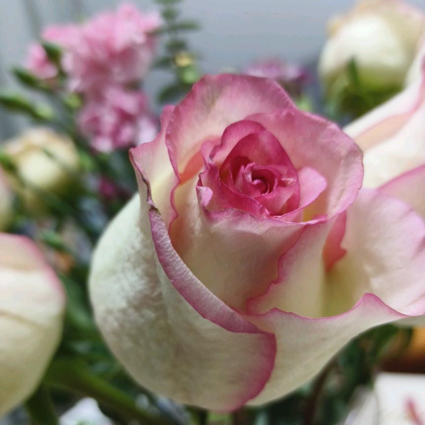 山河与我共相侯