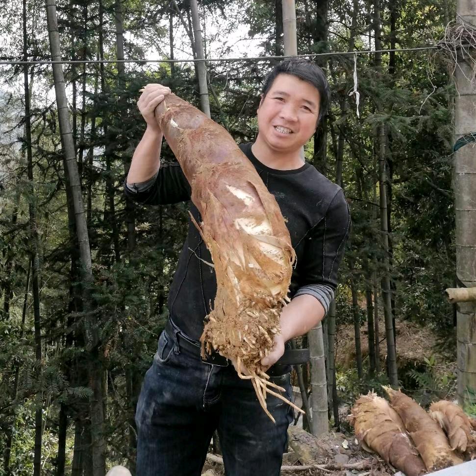 坚持到底