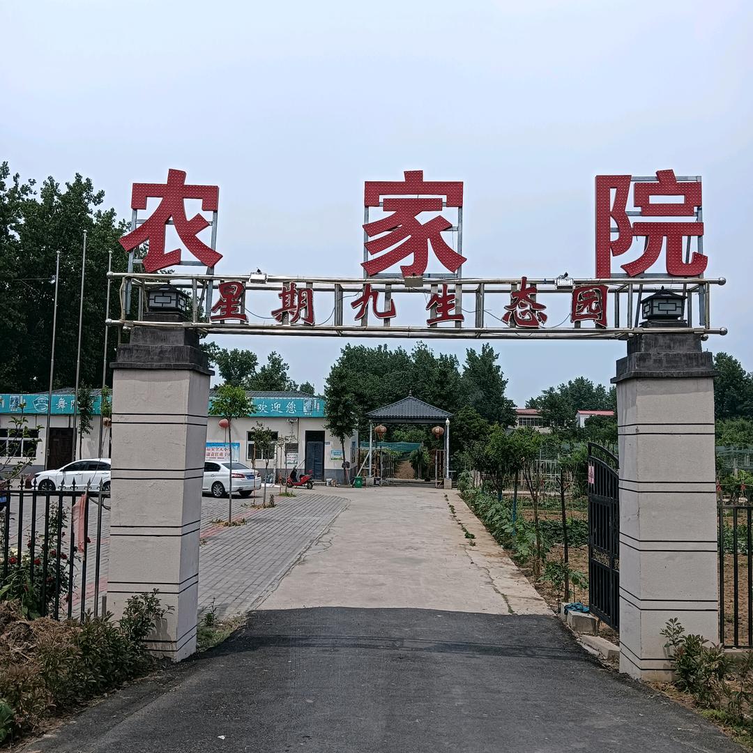 星期九生态农家院