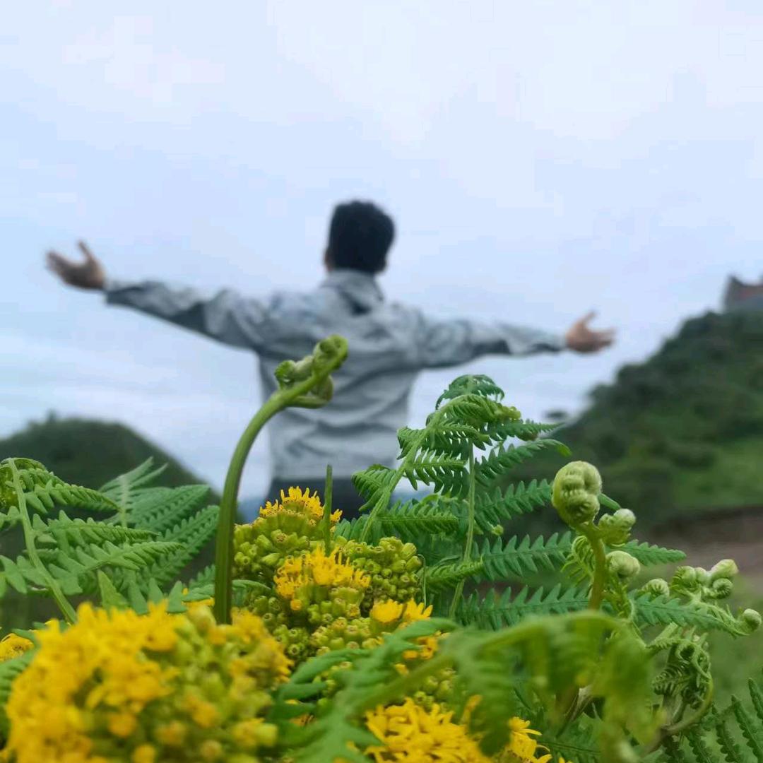 小勇🇨🇳