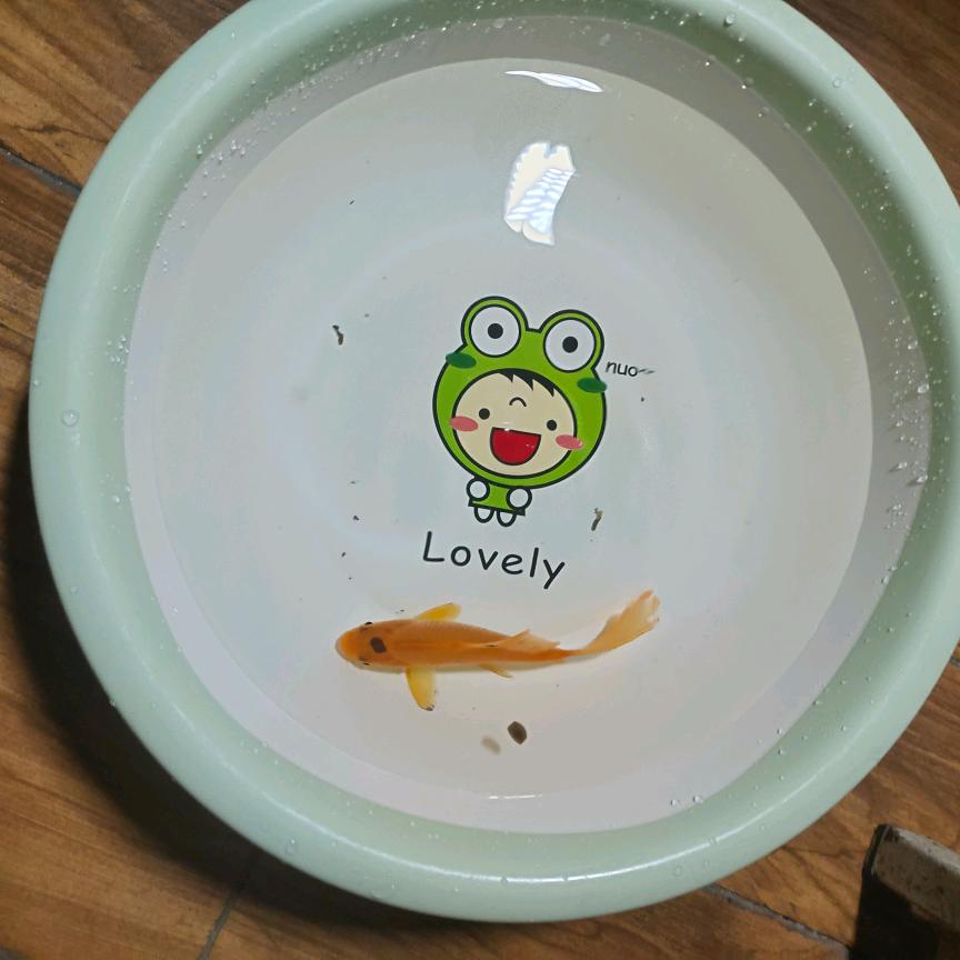 管事婆
