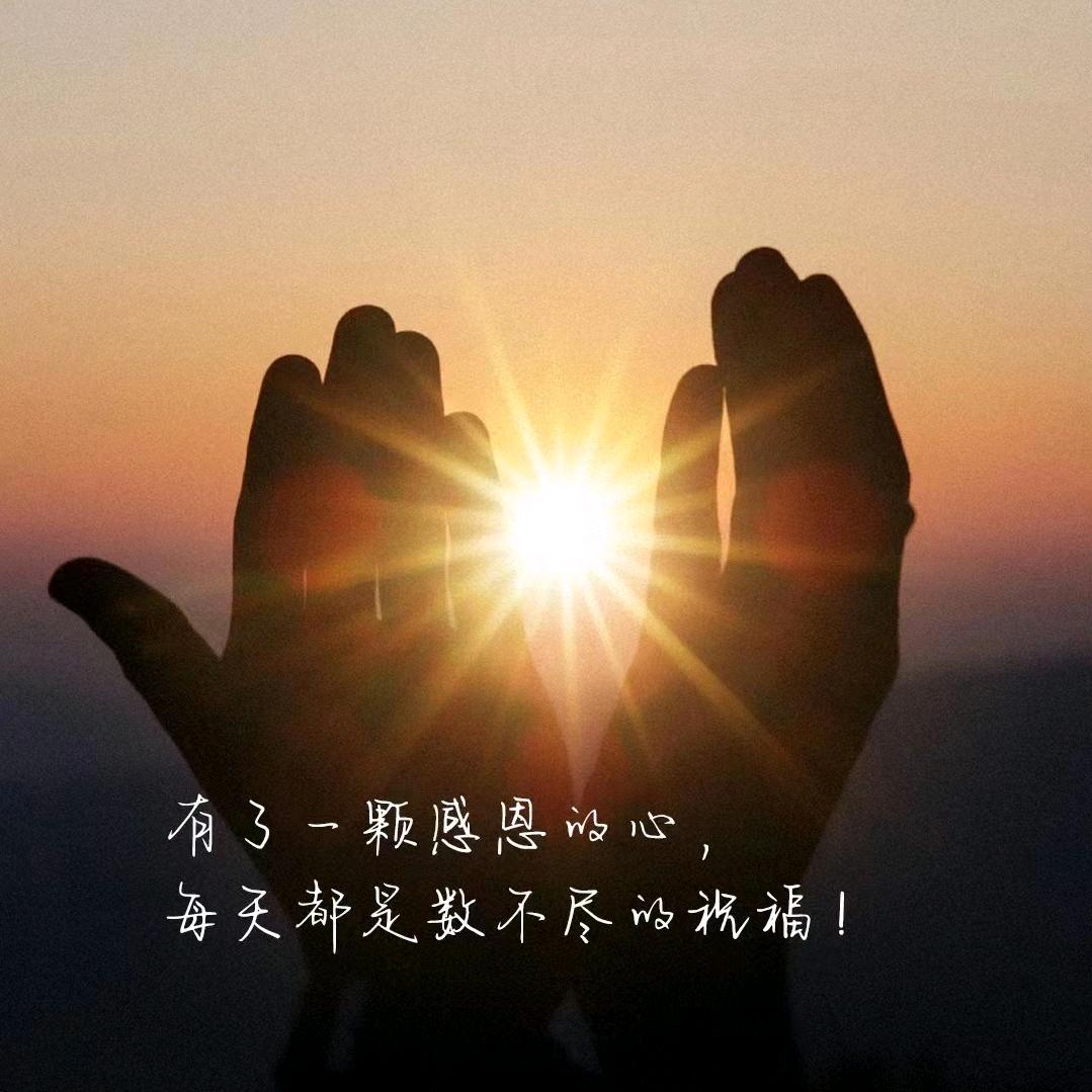 灵羽