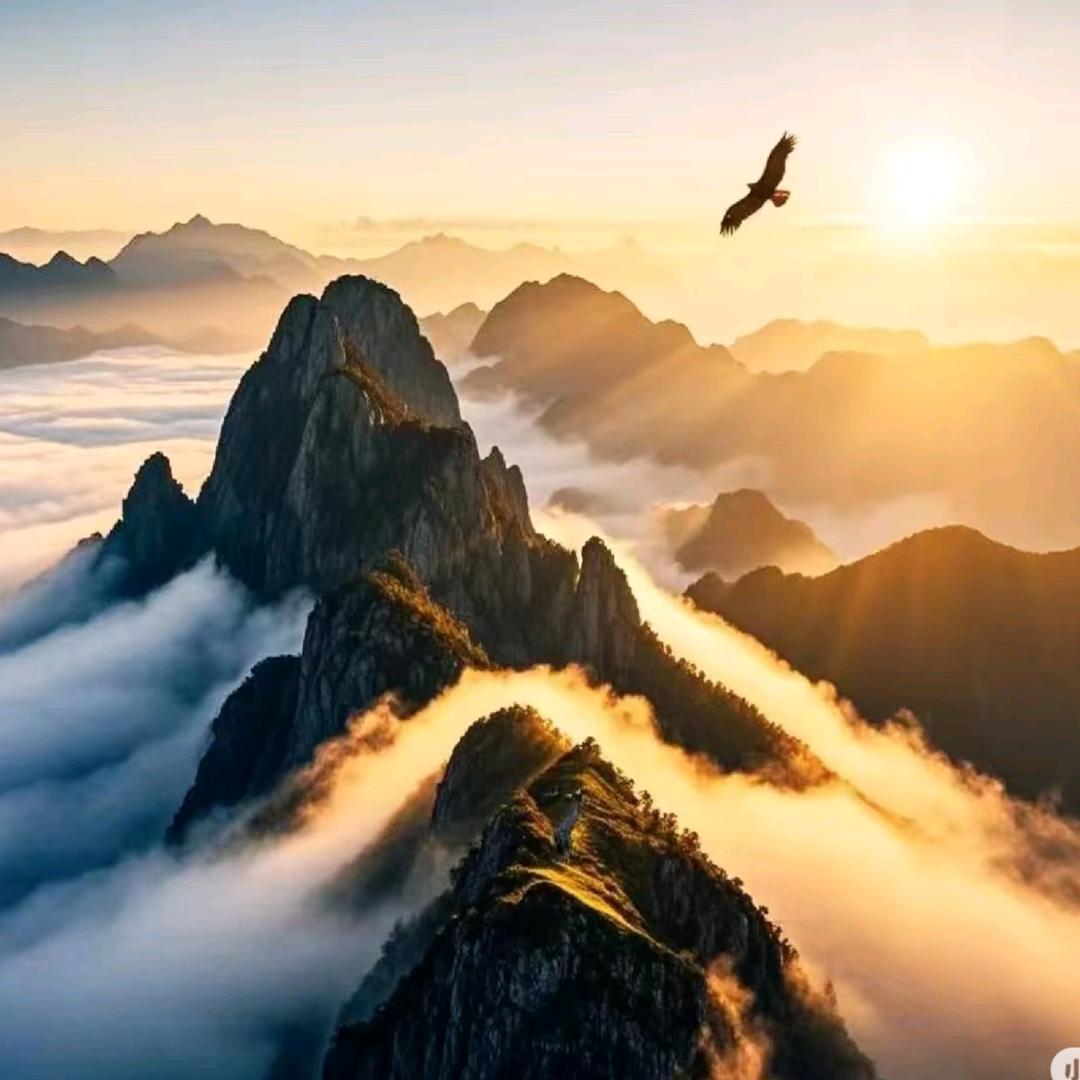 山河无恙