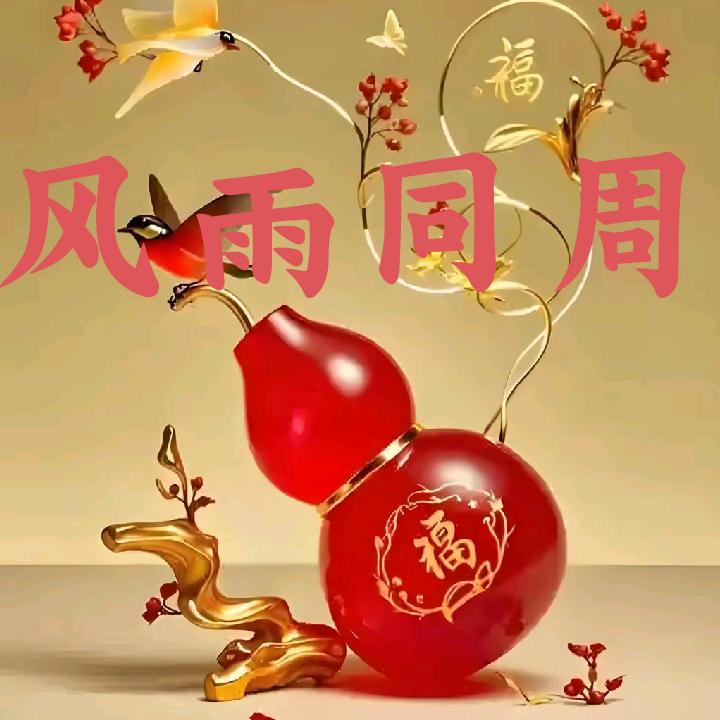 周游