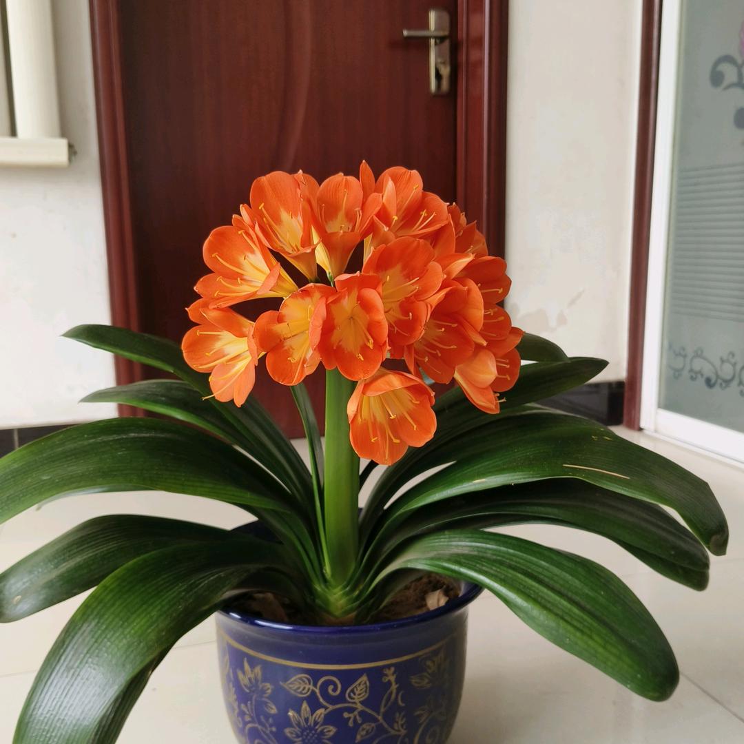 幸福相伴