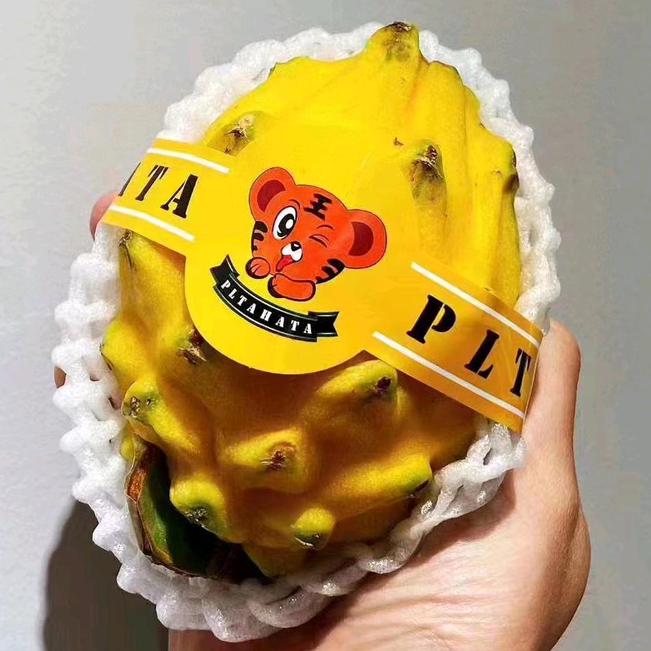 小 孟