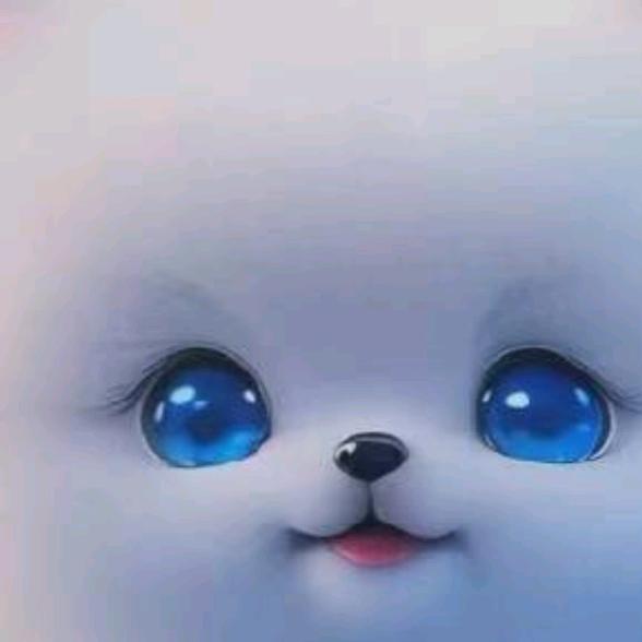 鱼鱼