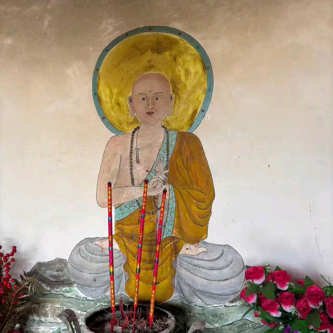 高宽贸易小猪